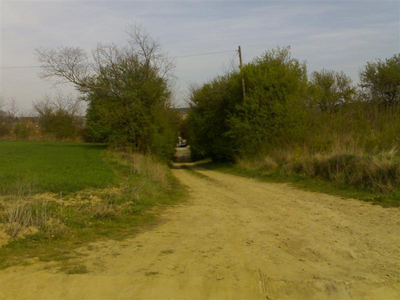 200704091726 .jpg
